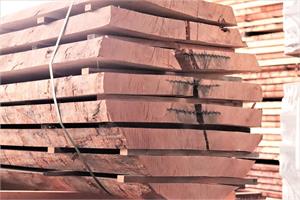 kb ei Eichen Klotzbretter 52 mm ofentrocken 5.10 m