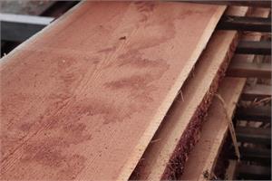 Klotzbretter, Lärche 60 mm ltr. 6.00 m
