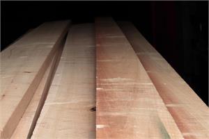 Klotzbretter,Tulipwood 65 mm otr. 3.70 m