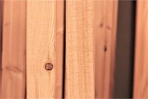 Lärche Schirmleisten sägeroh 3.00 m