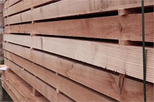 Rohhobler Berg. Lärche 50/150, 4.50 m