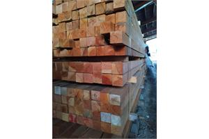 Rohhobler Can. Douglas 32/102, 2.13 m