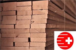 Rohhobler CH Weisstanne 50/125, 3.00 m r/h