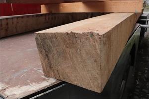 Rohhobler Eiche 35/40, 3.05 m