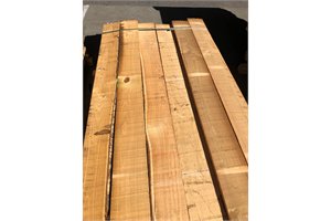 Rohhobler Kastanie 27/145 2.00m